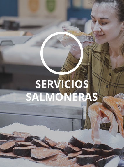 servicios_0000_Capa 3