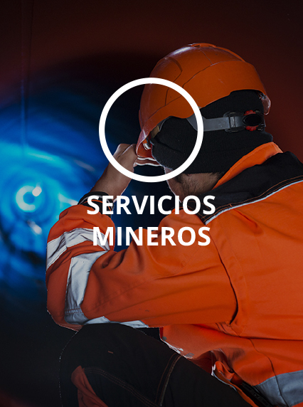 servicios_0001_Capa 2