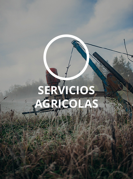 servicios_0002_Capa 1
